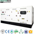 Ricardo Brand 50 kW stille Dieselgenerator mit chinesischem Motor Set Set mit chinesischem Motor